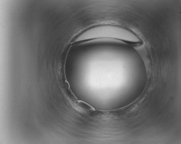 X0000080130201200612302045