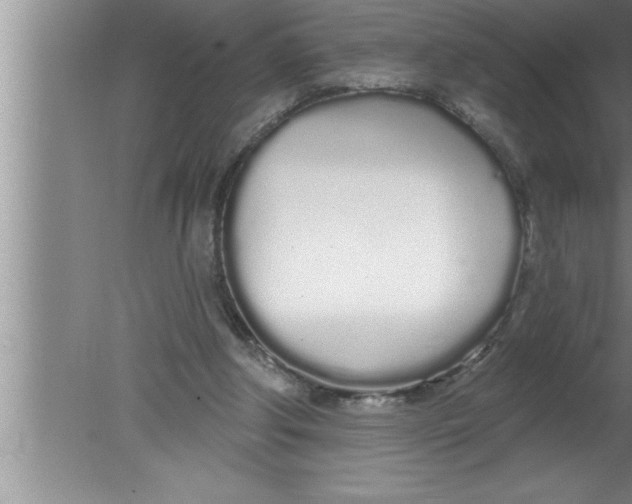 X0000080130202200612302045