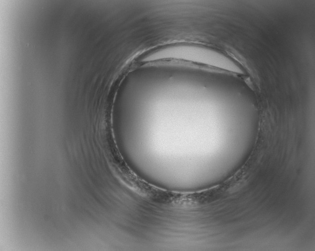 X0000080130203200612302045