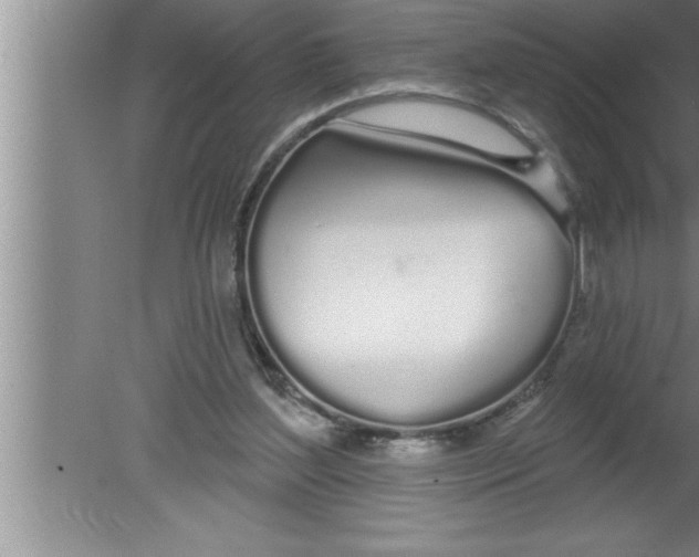 X0000080130204200612302045