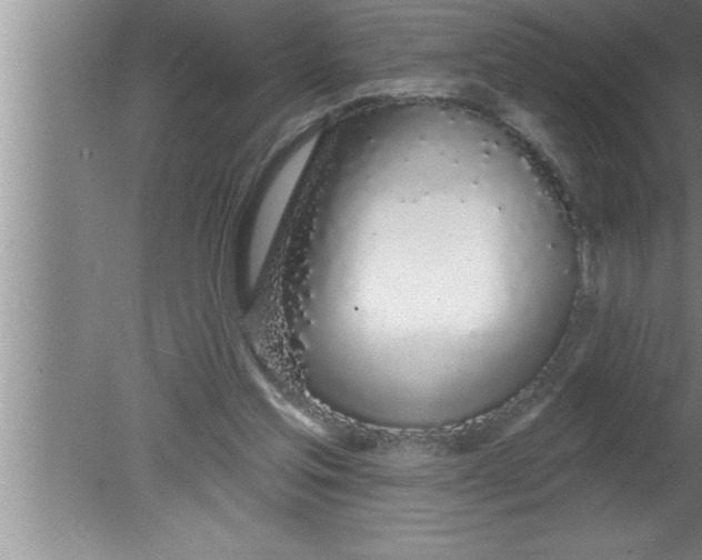 X0000080130205200612302045