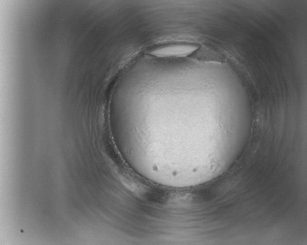 X0000080130206200612302044