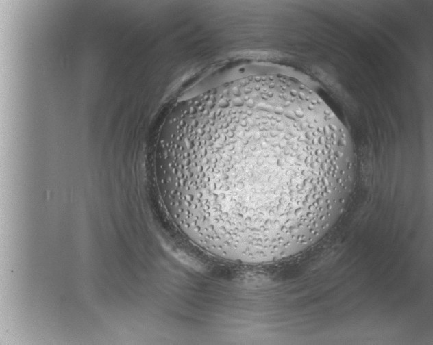 X0000080130207200612302044