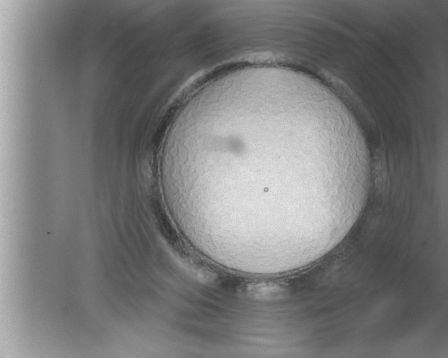 X0000080130208200612302044