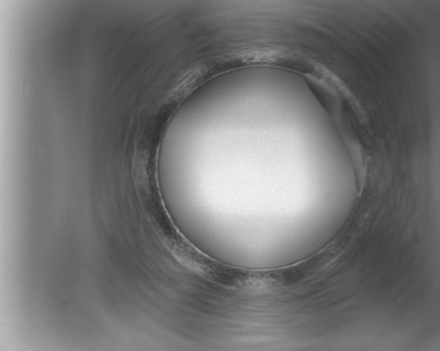 X0000080130209200612302044