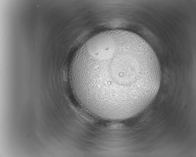 X0000080130210200612302044