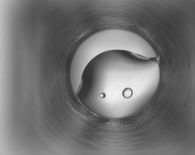 X0000080130211200612302044