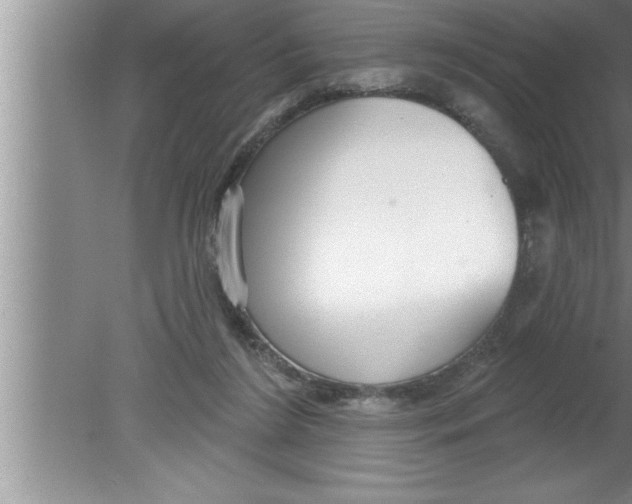 X0000080130212200612302044