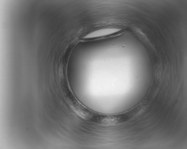 X0000080130213200612302044