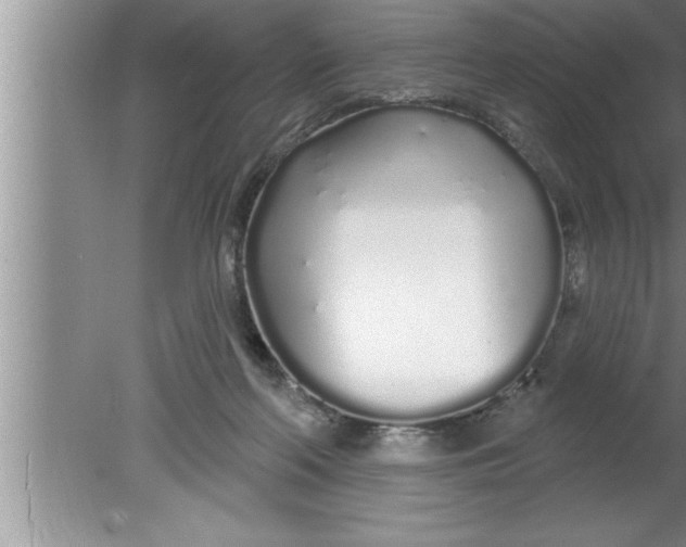 X0000080130214200612302044