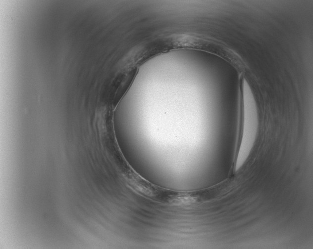 X0000080130217200612302044