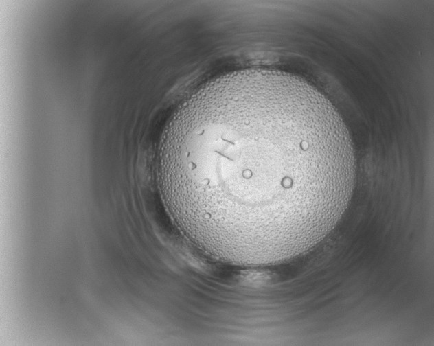 X0000080130218200612302044