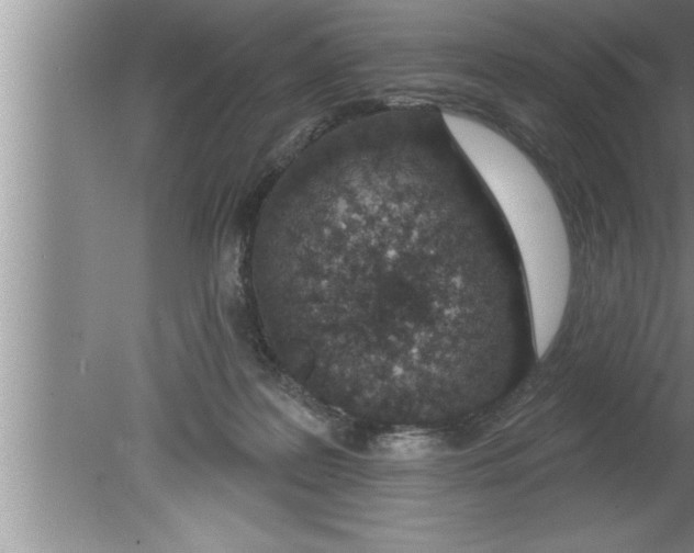 X0000080130219200612302044