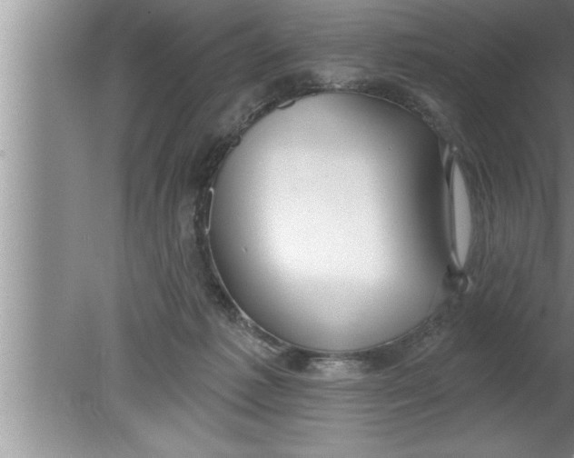 X0000080130221200612302044