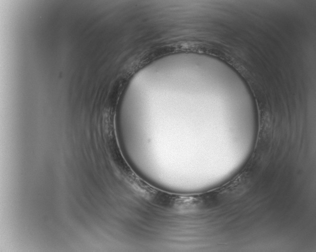 X0000080130222200612302044