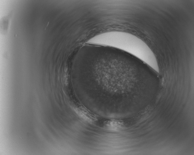 X0000080130223200612302044