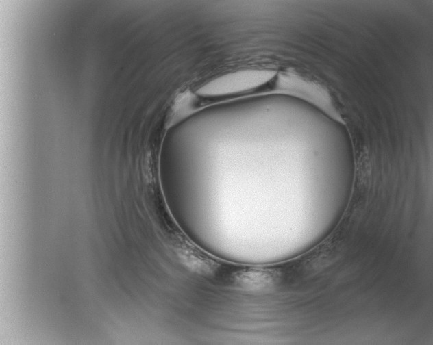 X0000080130224200612302044