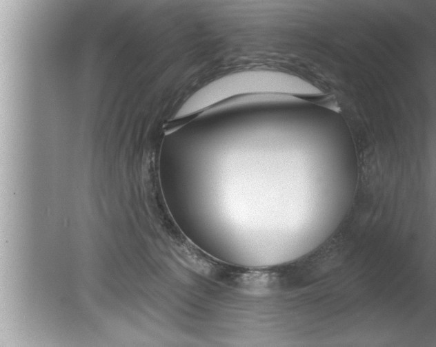 X0000080130225200612302044