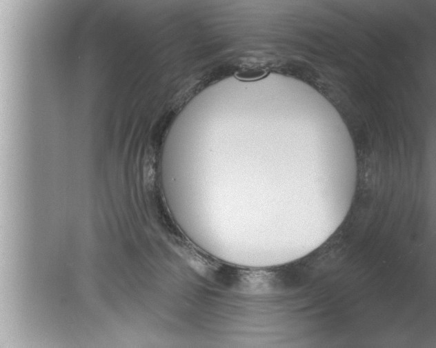 X0000080130226200612302044