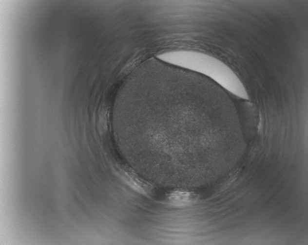 X0000080130227200612302044