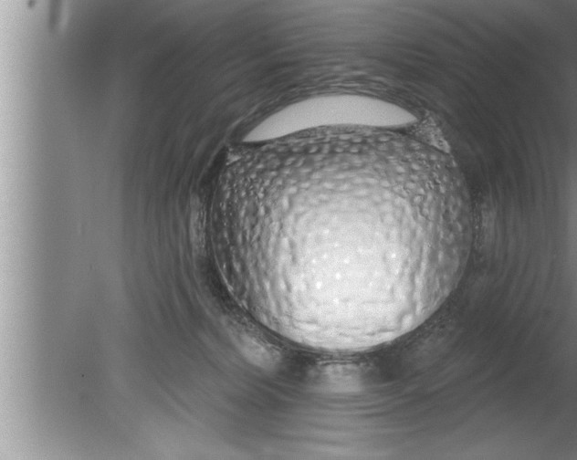 X0000080130228200612302044