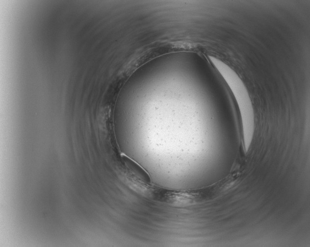 X0000080130229200612302044