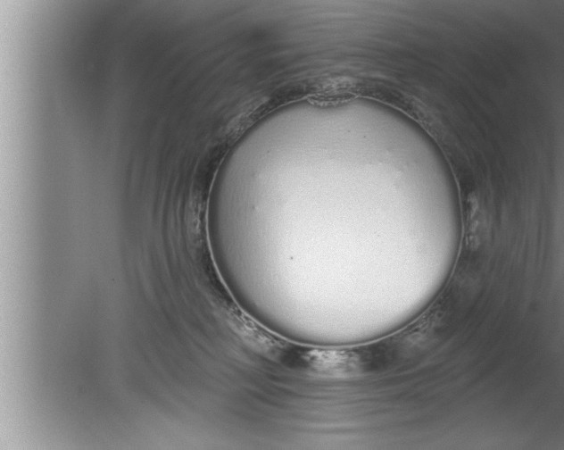 X0000080130230200612302044