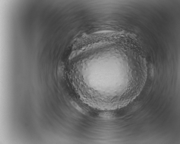 X0000080130231200612302044