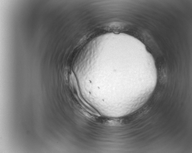 X0000080130232200612302044