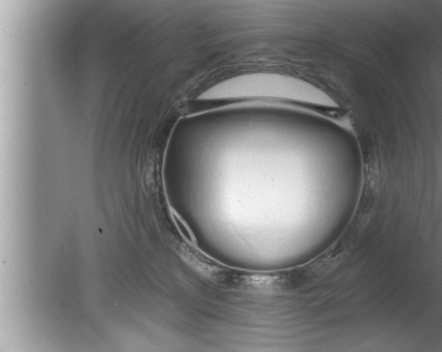 X0000080130233200612302044