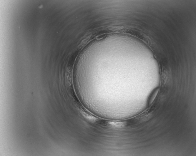 X0000080130234200612302044