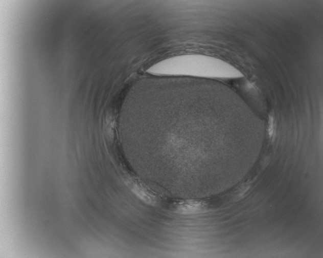 X0000080130235200612302044