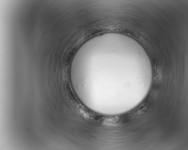 X0000080130236200612302044