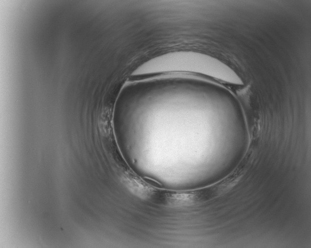 X0000080130237200612302044