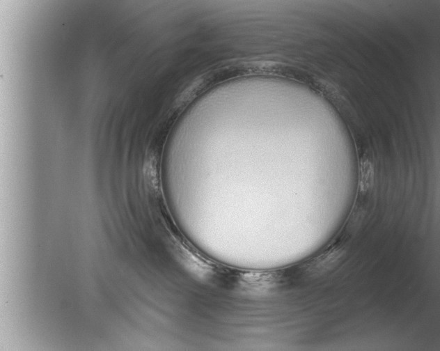 X0000080130238200612302044