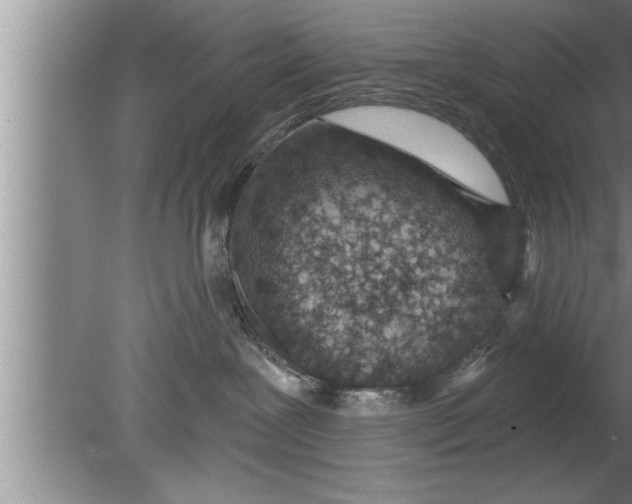 X0000080130239200612302044