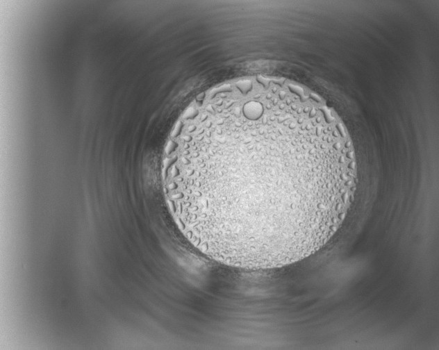 X0000080130240200612302044