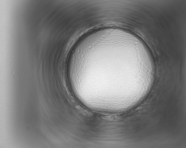 X0000080130241200612302043