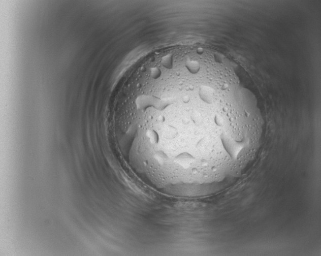 X0000080130242200612302043