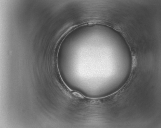 X0000080130243200612302043