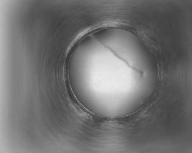 X0000080130244200612302043