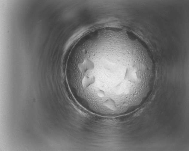 X0000080130245200612302043