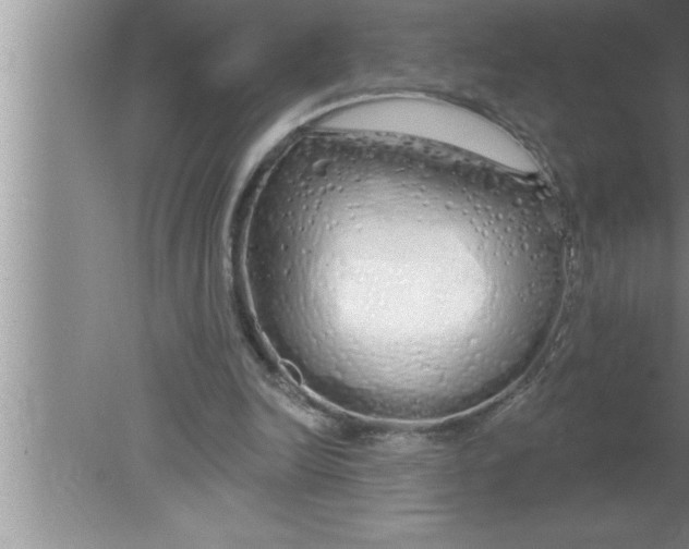 X0000080130246200612302043