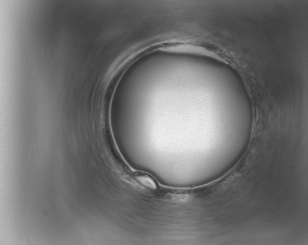 X0000080130247200612302043