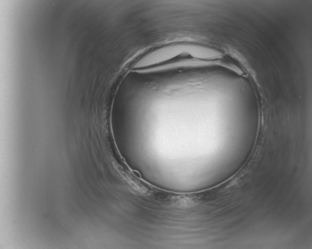 X0000080130249200612302043