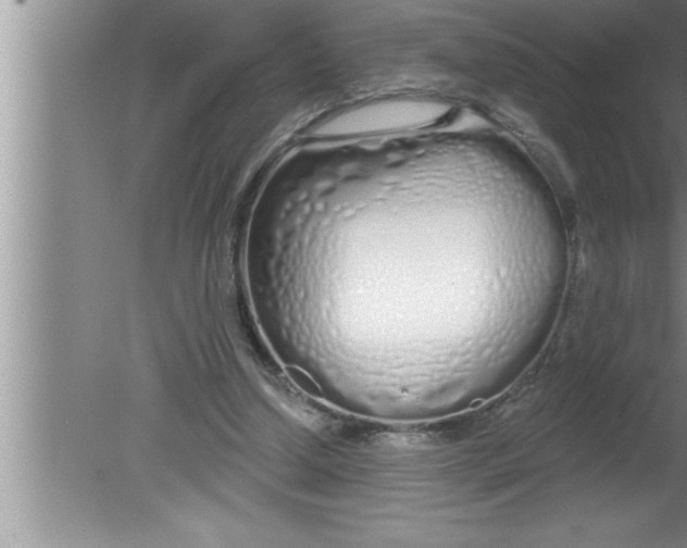 X0000080130250200612302043