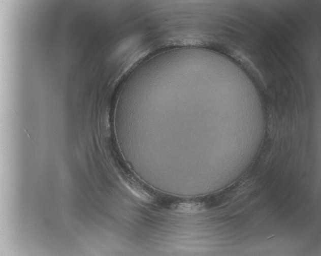 X0000080130251200612302043