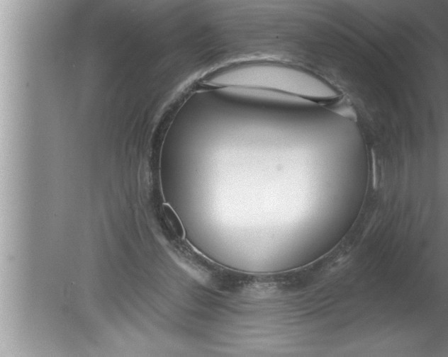 X0000080130252200612302043