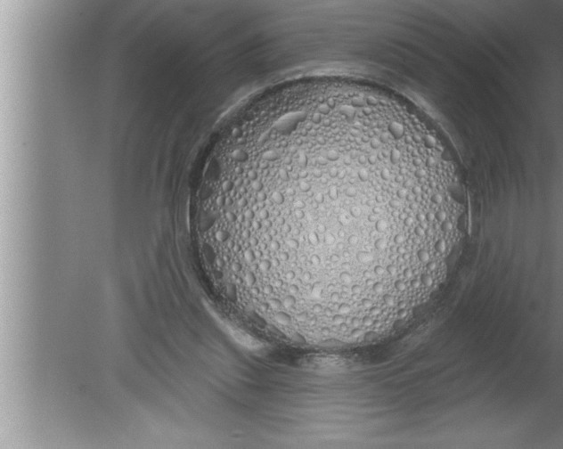 X0000080130253200612302043