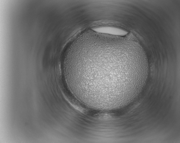 X0000080130254200612302043